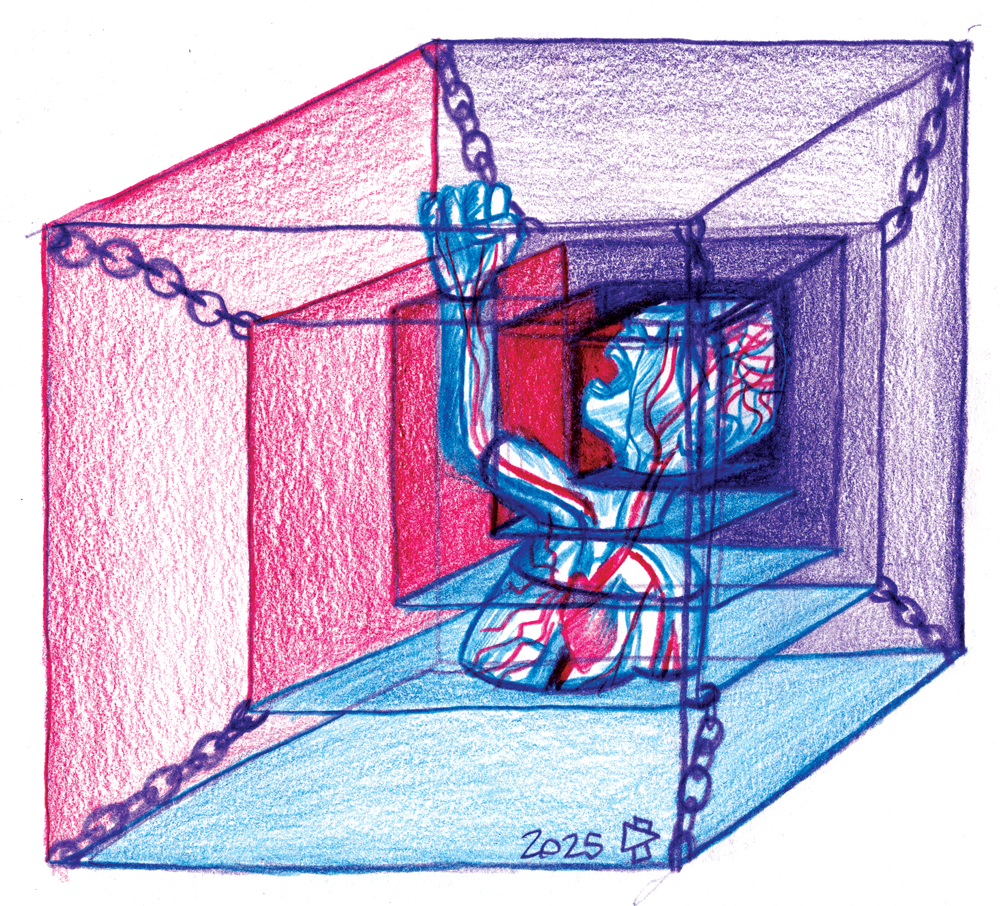 CQFD n° 243 Retour des QHS